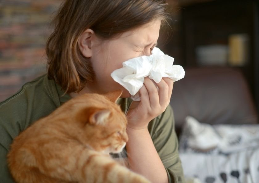 Pets (Cats -Dog) Allergy