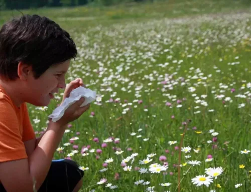 проф. Доктор Ахмет Акчай – объяснил влияние коронавируса на детей с аллергией в программе «Мой доктор рядом со мной»