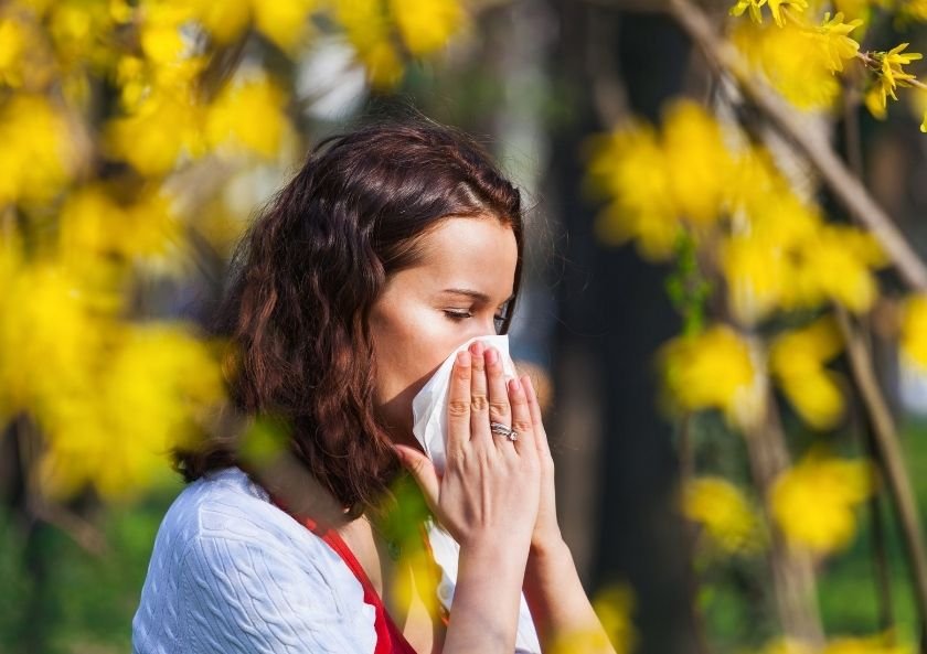 What is Allergic Rhinitis in Adults? How Does It Develop