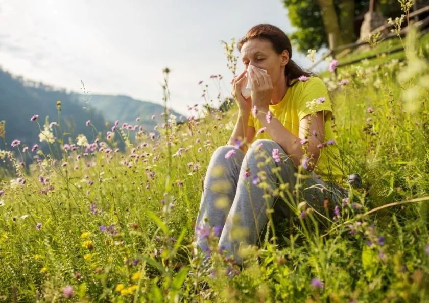 What is Pollen Allergy (Seasonal Allergy)