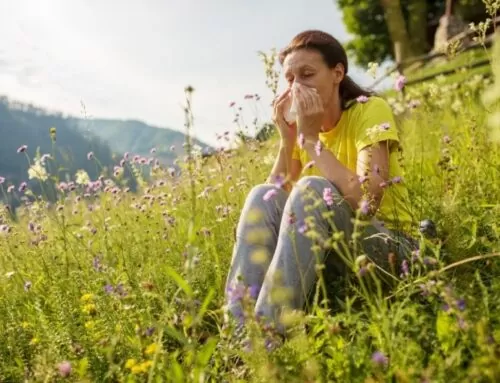 What is Pollen Allergy (Seasonal Allergy)?